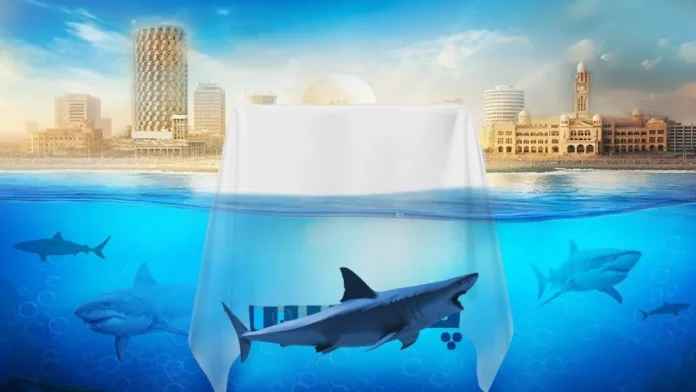 Untitled (21) Shark Tank