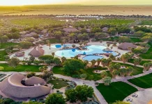 7 Must-visit Nature Reserves & Resorts in Saudi to Reconnect with Nature this Global Wellness Day Wellness