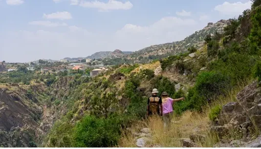 Explore These 4 Enchanting Year-Round Destinations in Saudi Destinations Saudi