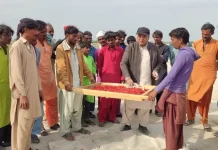 Shan Foods’ Kunri initiative contributes to a greener future with direct support to Pakistan’s farming communities Shan Foods