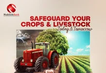 Mobilink Bank introduces climate insurance to protect agri-borrowers from climate risks Mobilink Bank climate insurance