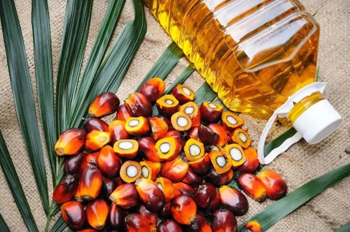 0 - 2025-06-25T143627.700 Palm Oil