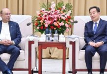 President Zardari calls China the cornerstone of Pakistan’s foreign policy foreign policy