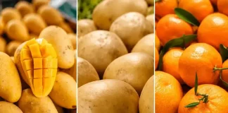 SE Fruits & Vegetable gets PSX approval for IPO, set to raise up to Rs1.92bn SE Fruits & Vegetable
